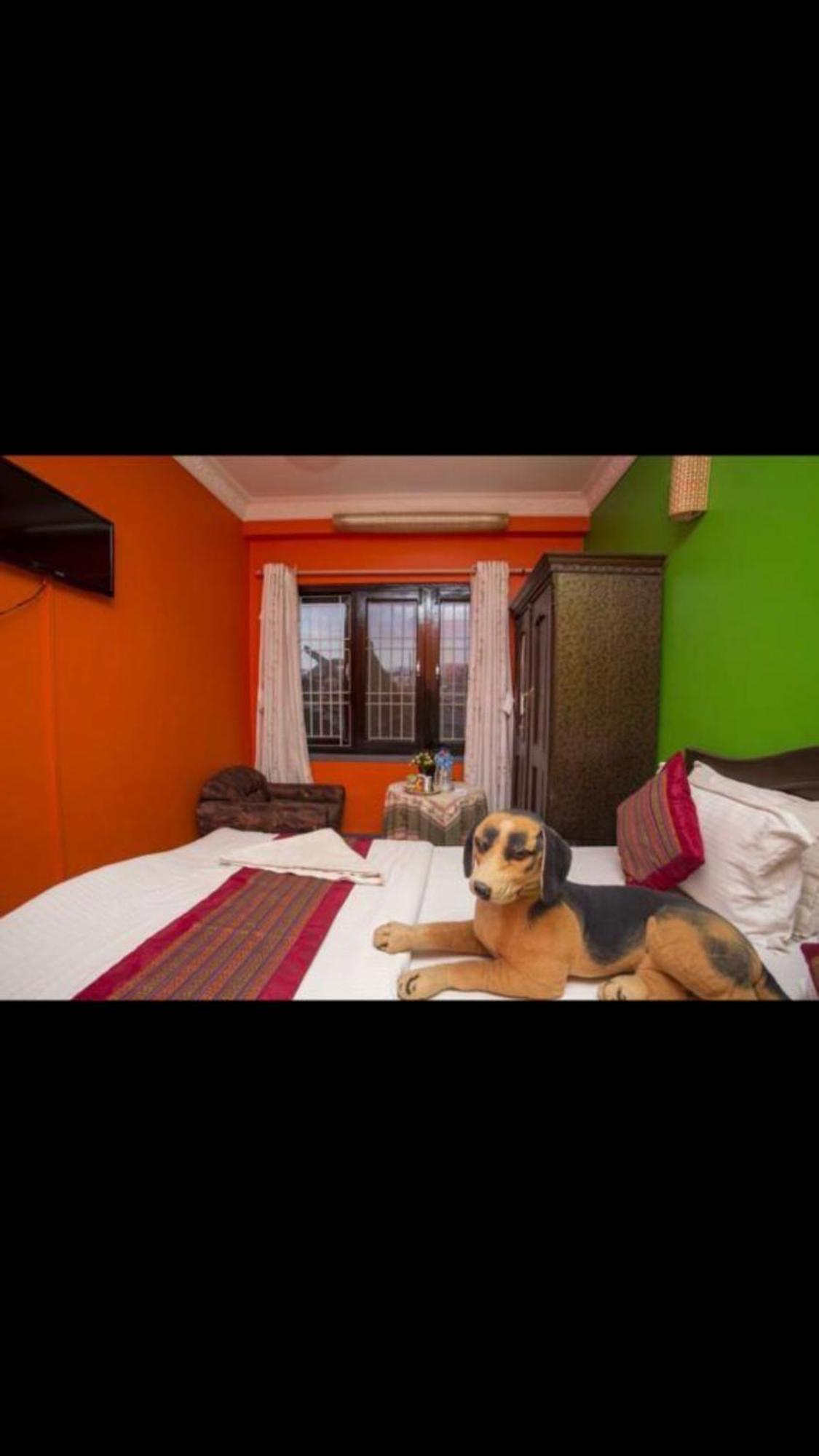 Blue Mountain Home Stay Catmandu Exterior foto